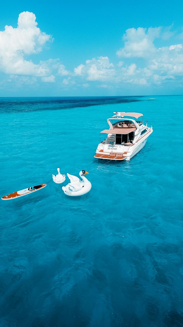 sea monkey 50 ft sea ray flybridge sea monkey 50 ft sea ray flybridge